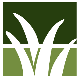 Pine Needle Cleaning Pros