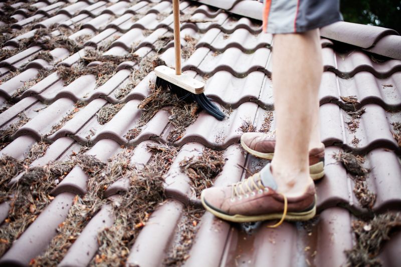 Pine Needle Cleaning