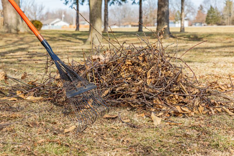 Removing Wet Leaves