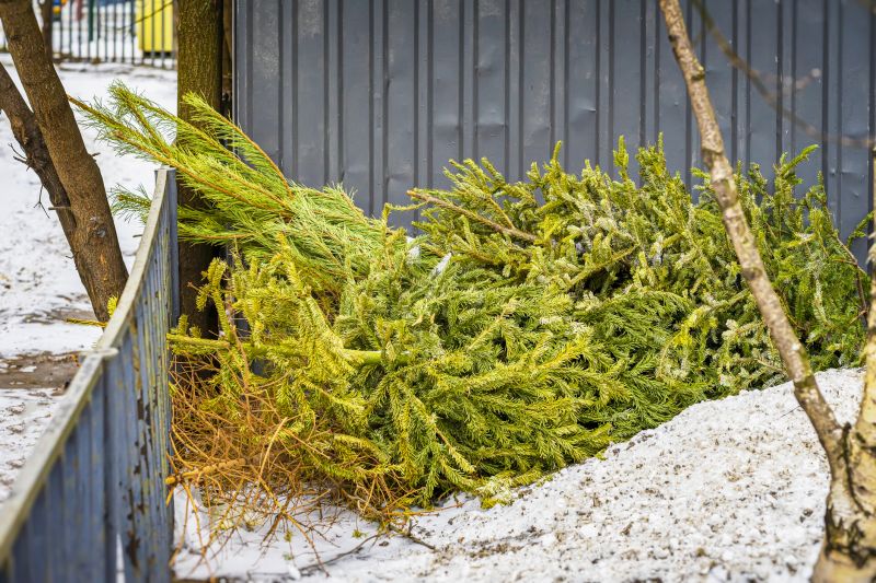 Debris Removal Process