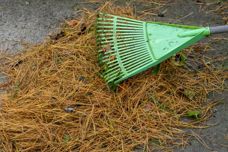 Pine Needle Cleaning