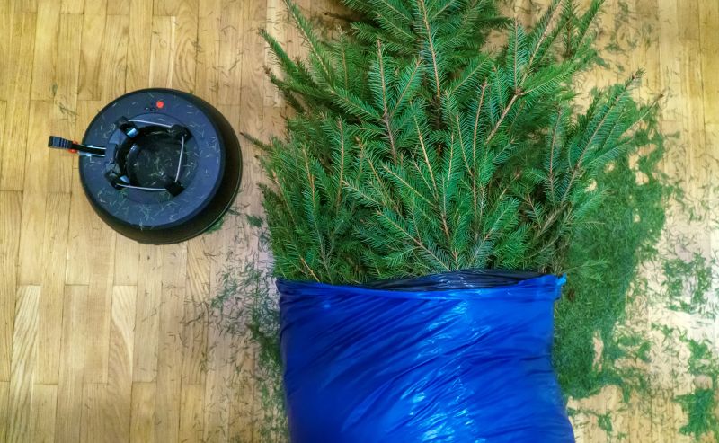 Pine Needle Cleaning