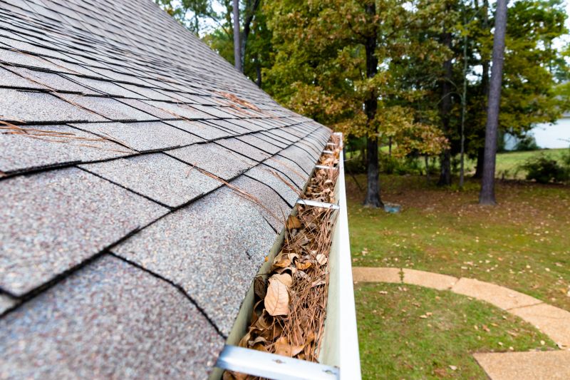 Gutter Cleaning with Pine Needles