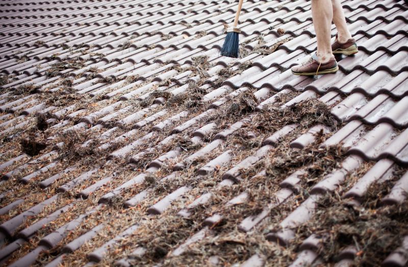 Contact About Pine Needle Cleaning